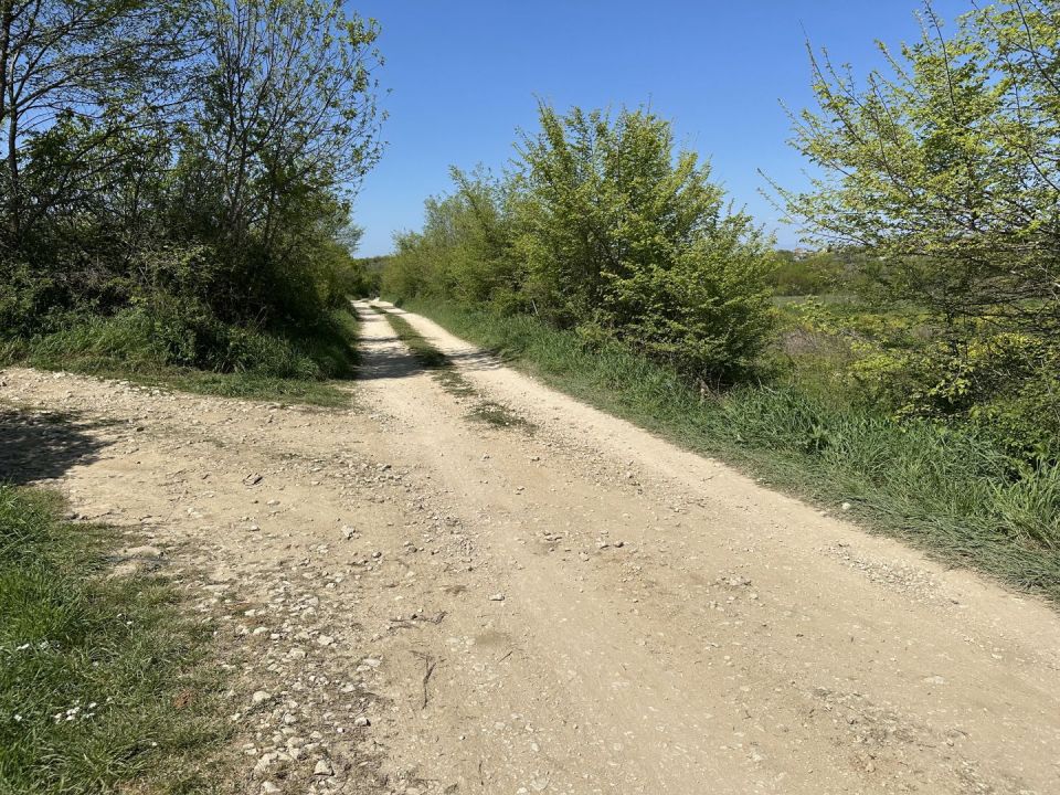 original_1744481485_img_8792.jpg