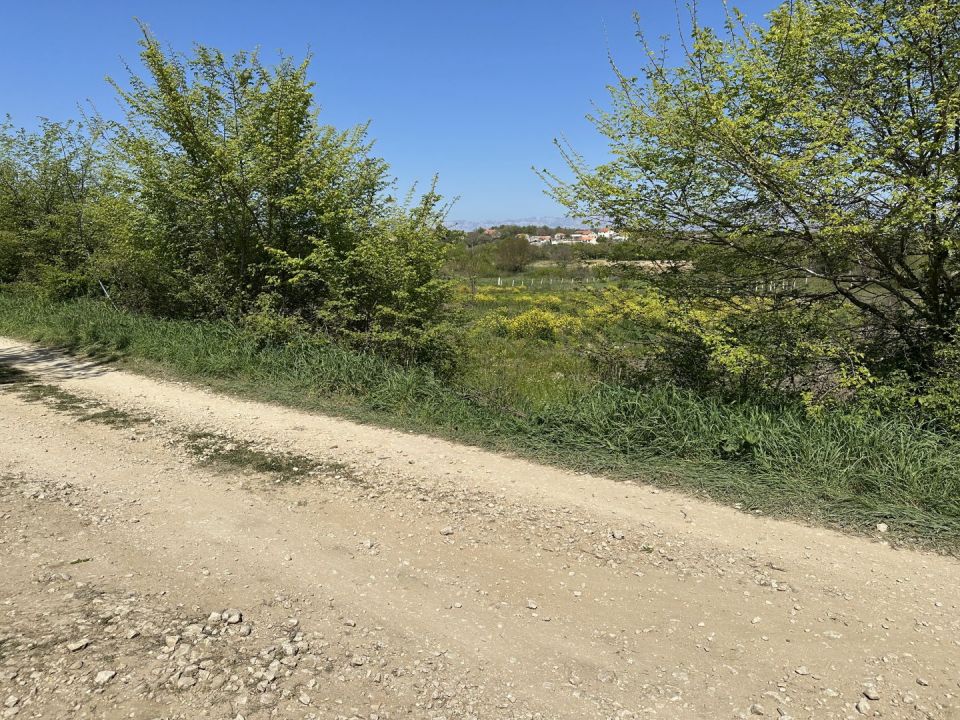 original_1744481500_img_8794.jpg