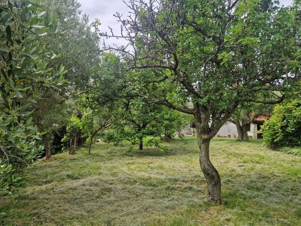 original_1748452124_istra-buje-samostojeca-kuca-panoramskog-pogleda-27.jpg