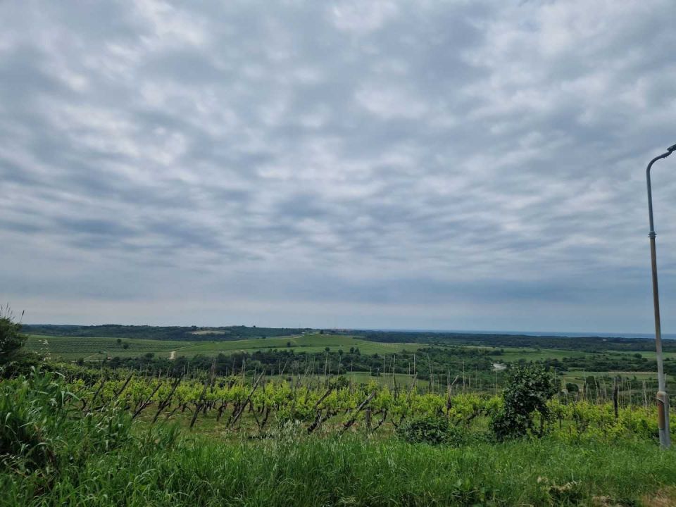 original_1748452166_istra-buje-samostojeca-kuca-panoramskog-pogleda-37.jpg