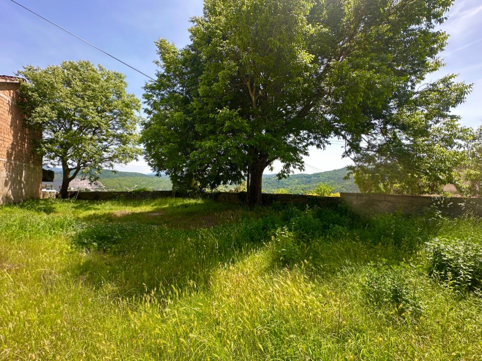 original_1749110458_img_5448.png