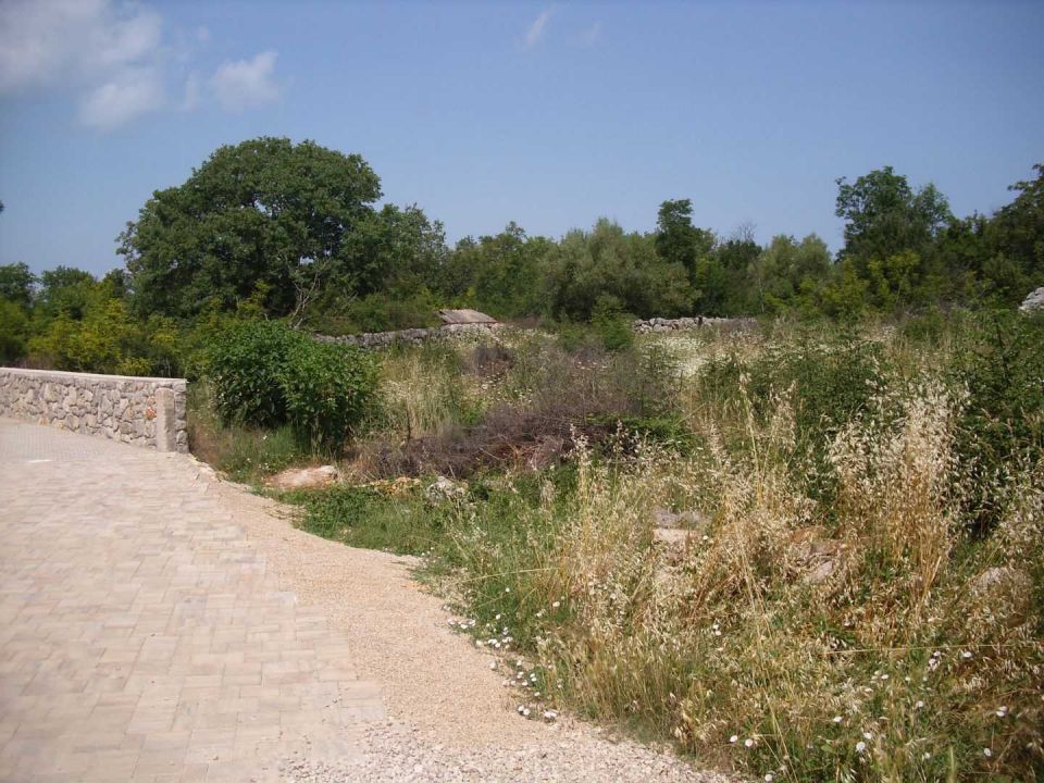 original_1749363639_img_5634.jpg