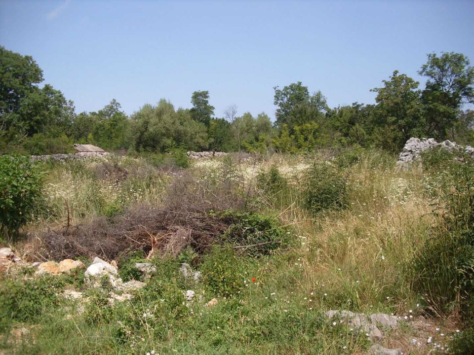 original_1749363674_img_5632.jpg