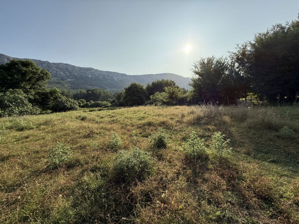 original_1749724525_img_4149.jpg