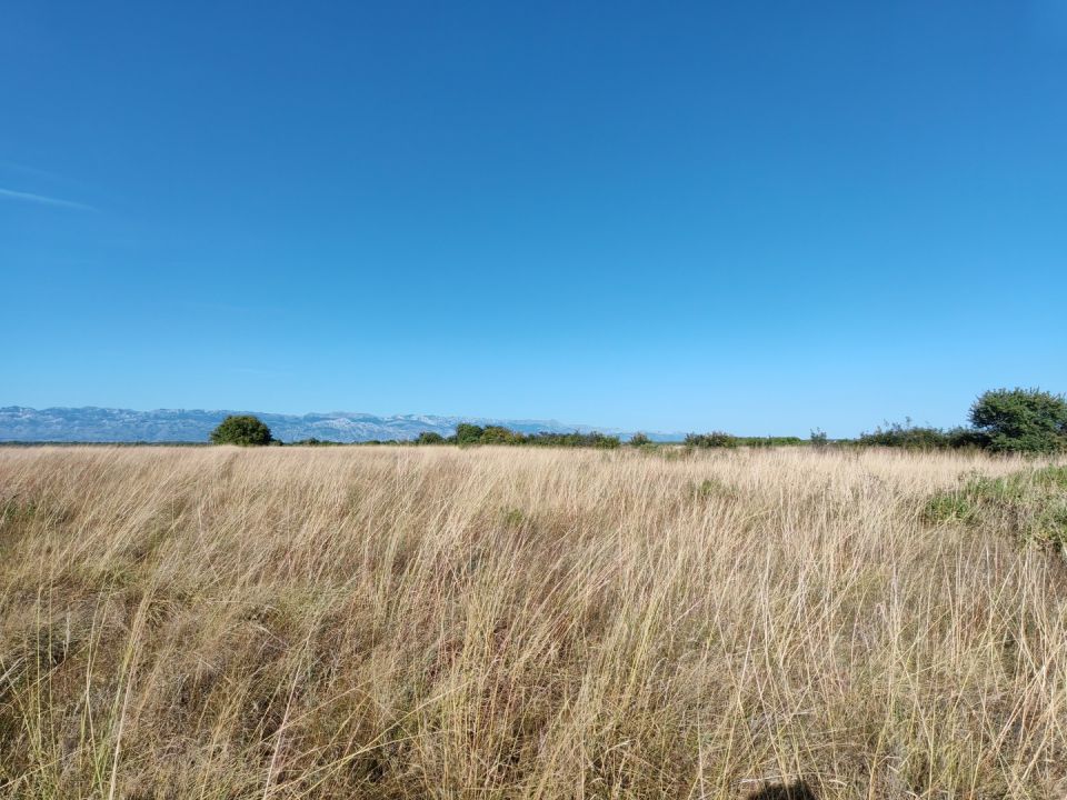 original_1753549573_img_20250724_173017.jpg