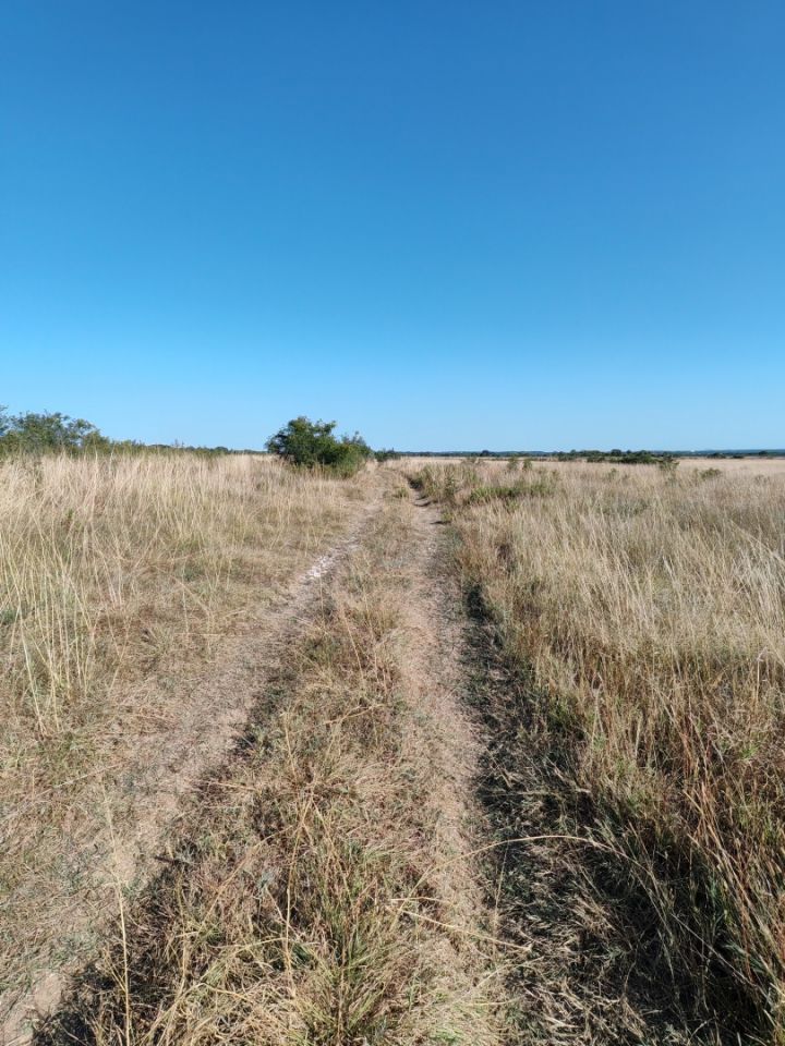 original_1753549582_img_20250724_173053.jpg