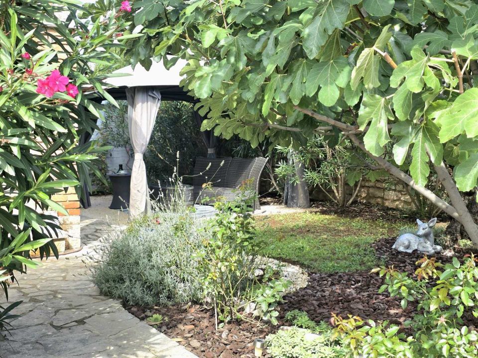 original_1757341131_1000006162.jpg