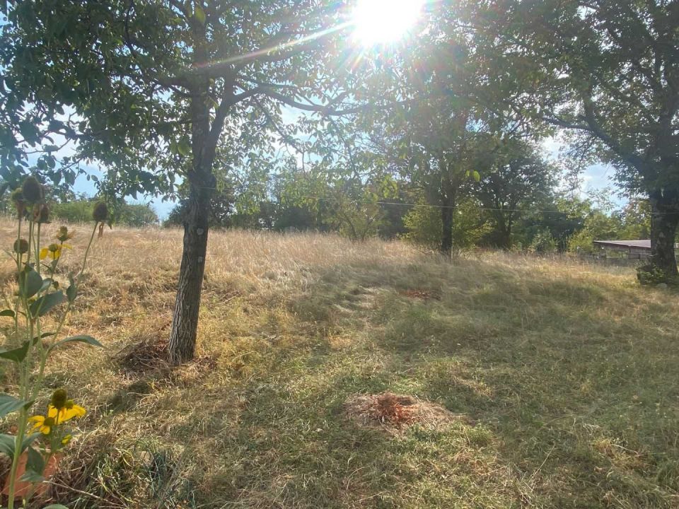 original_1725610525_img_9160.jpg