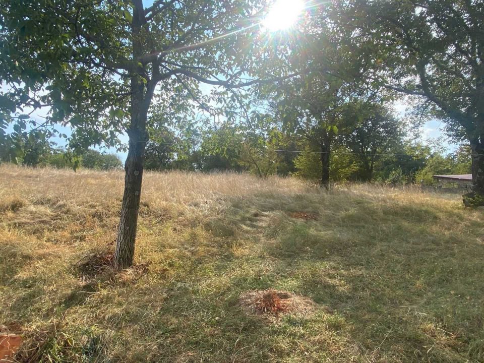 original_1725610527_img_9161.jpg