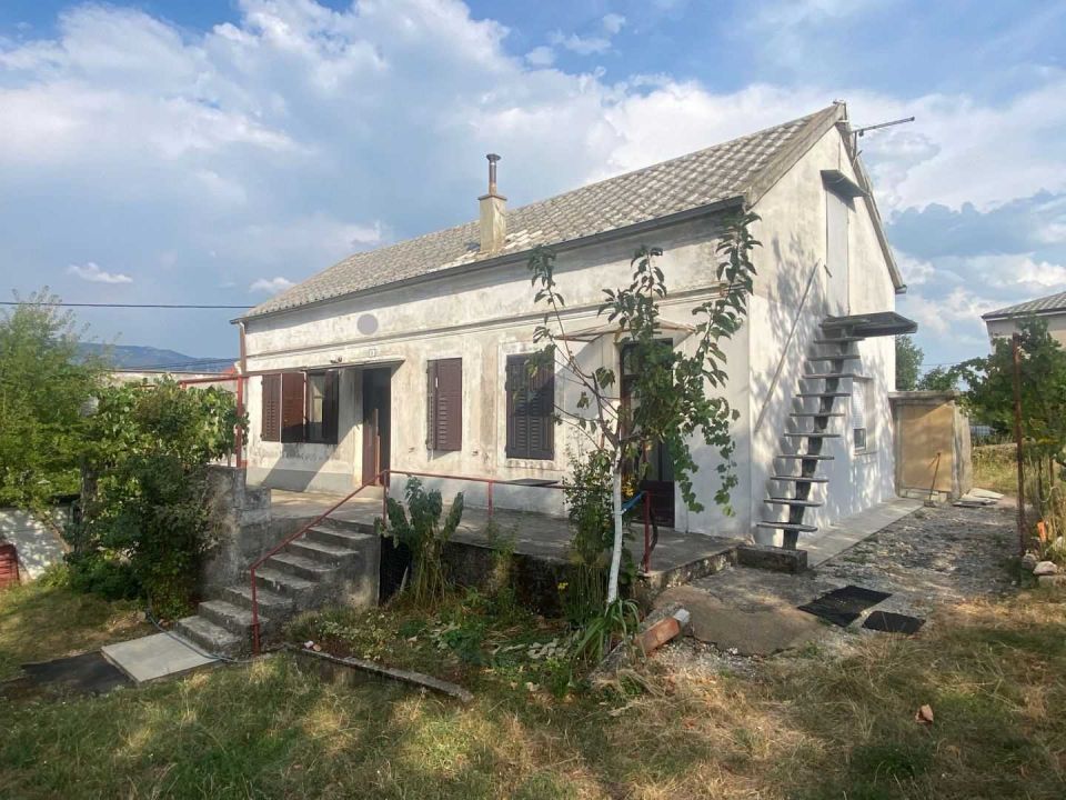 original_1725610557_img_9176.jpg