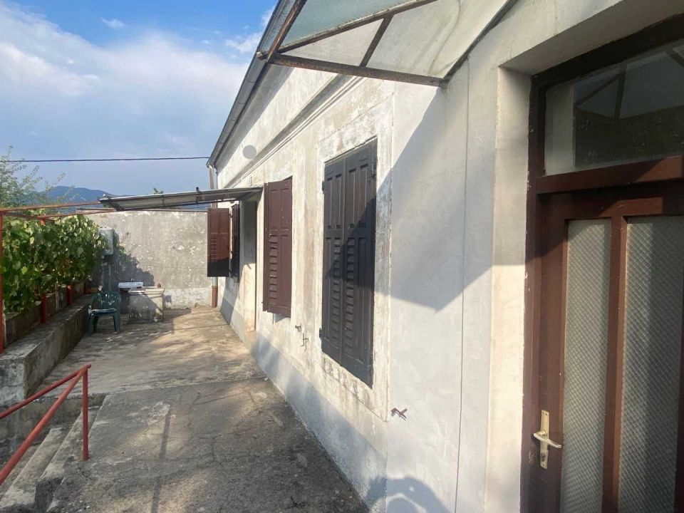 original_1725610560_img_9177.jpg