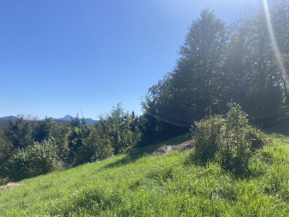 original_1758390316_img_2363.jpeg