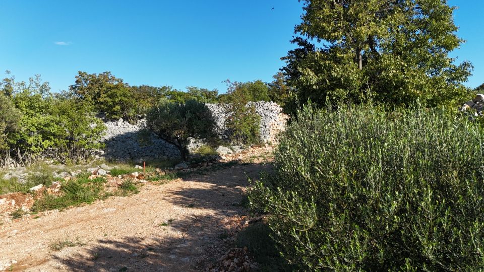 original_1759157908_slika-342.jpg