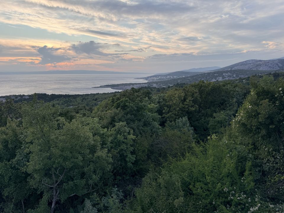 original_1759507392_img_6563.jpeg