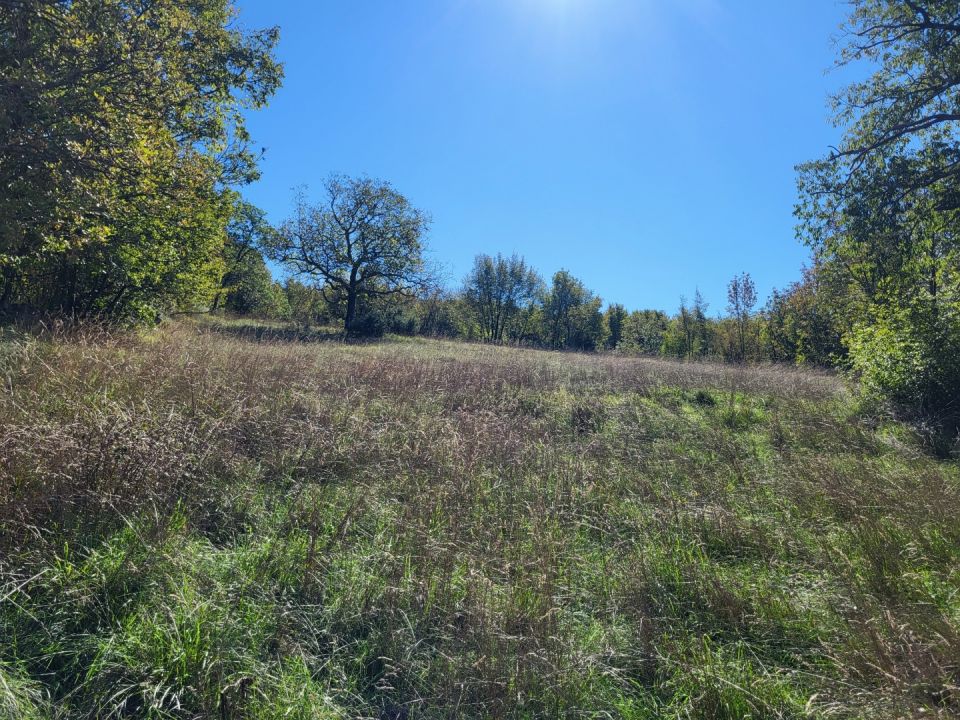 original_1760004017_20251008_121945.jpg
