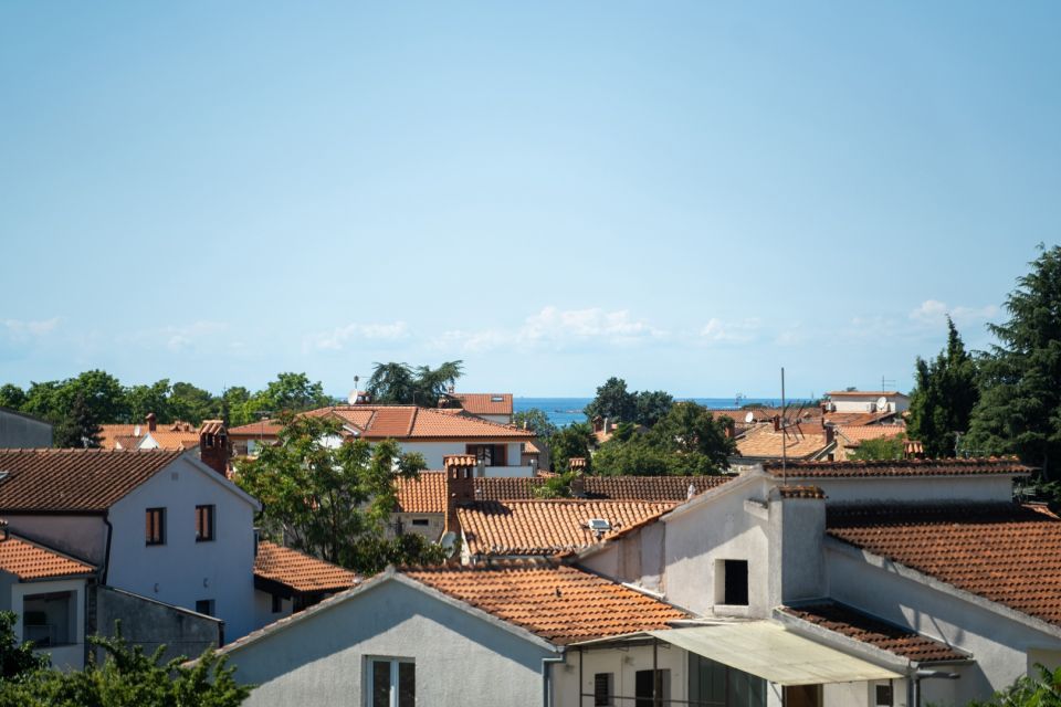 original_1761030852_ivo-3-18.jpg