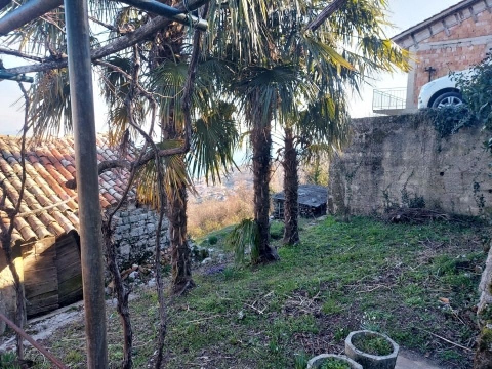 original_1765875608_8.jpg