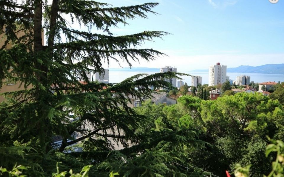 original_1765974229_1765974120-c5badc04.jpg
