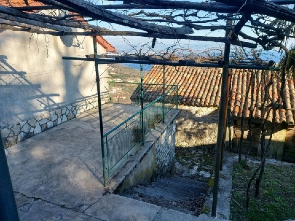original_1765875965_7.jpg