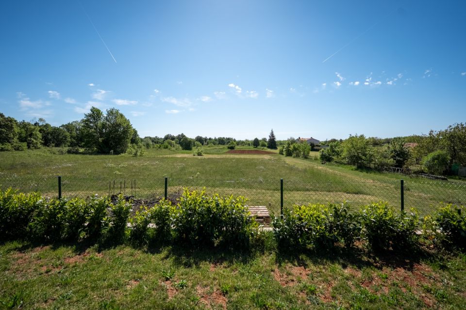 original_1778000468_dsc09775.jpg