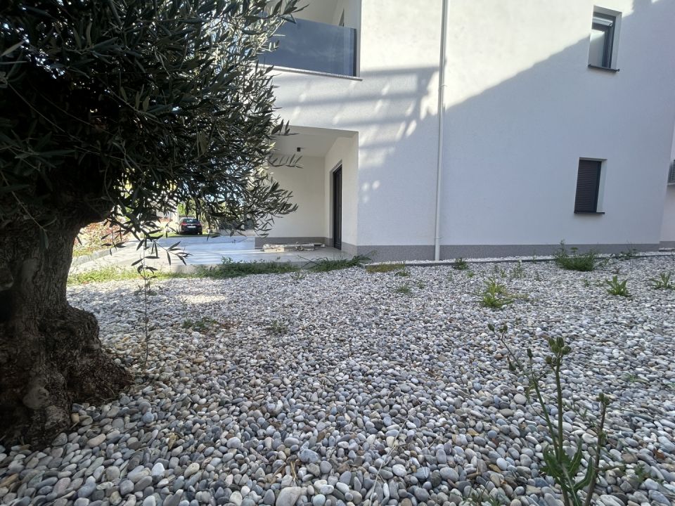 original_1777450409_img_0036.jpg