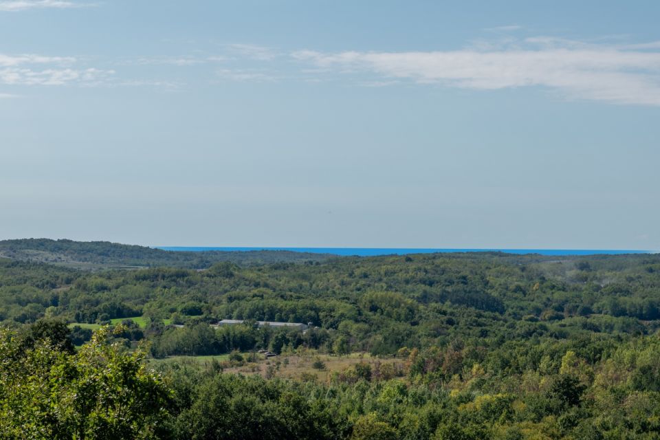 original_1779204336_dsc_0188.jpg