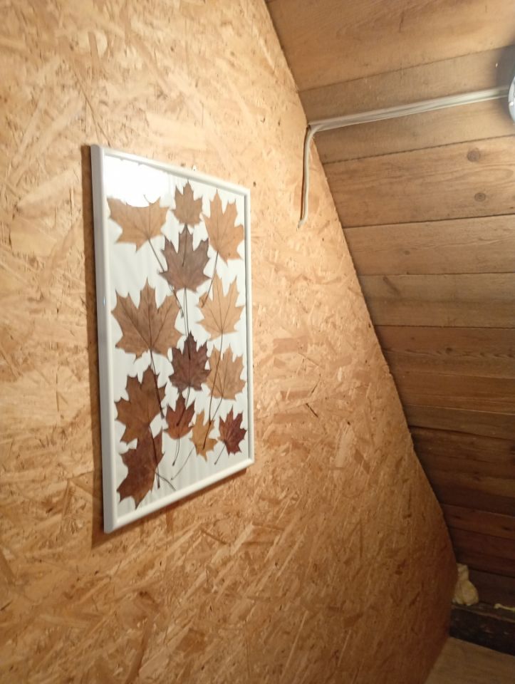 original_1777927554_img_20260503_174700961_mfnr.jpg