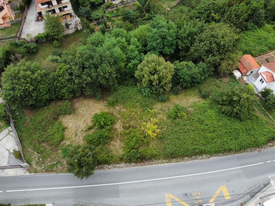 original_1727182715_dji_fly_20240919_161852_748_1726755538976_photo_optimized.jpg