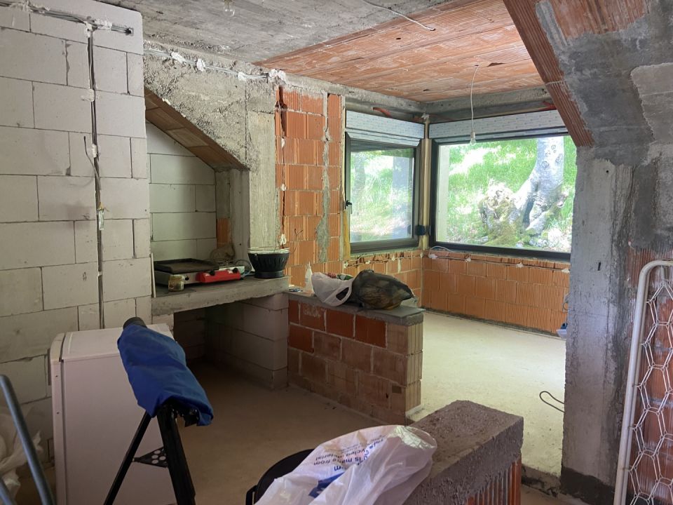 original_1779446262_img_4236.jpeg
