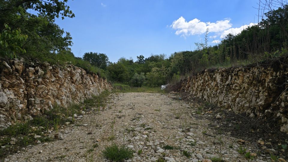 original_1779127811_1000215677.jpg