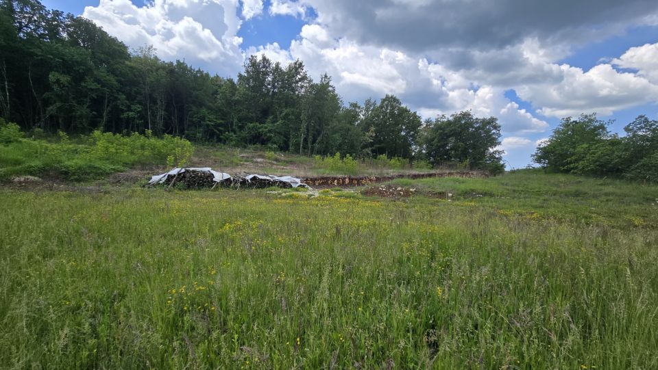 original_1779127850_1000215684.jpg