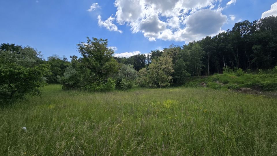 original_1779127864_1000215687.jpg
