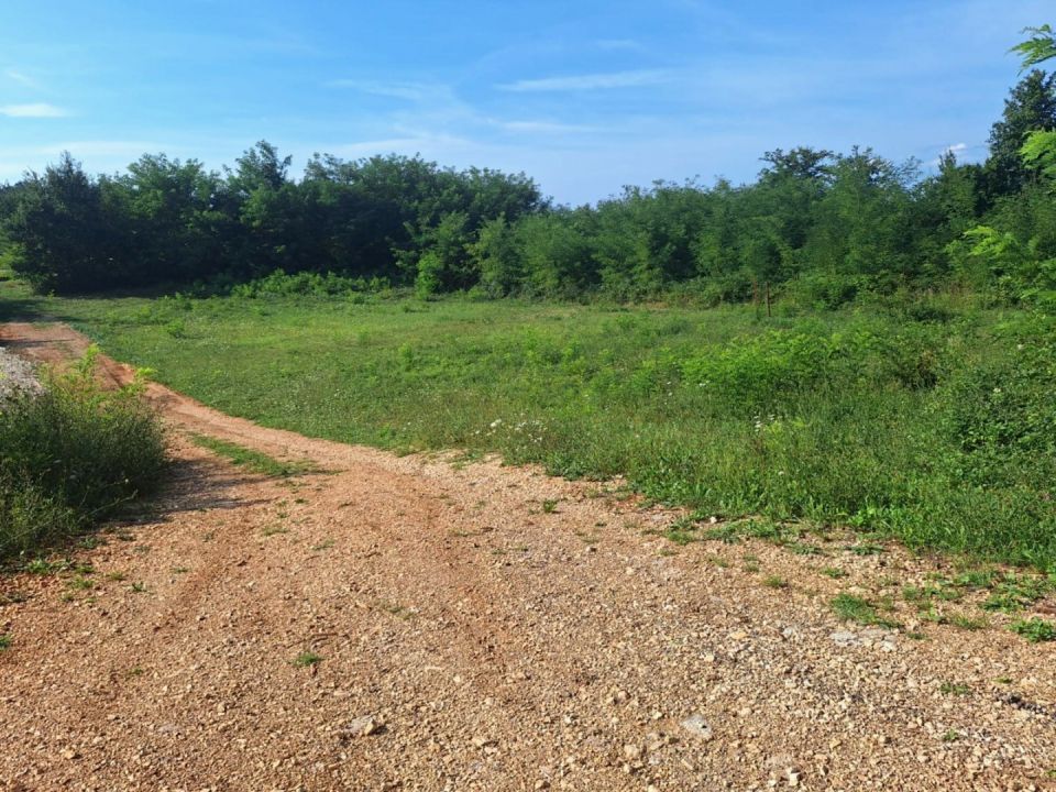 original_1779994702_istra-gradevinsko-zemljiste-prodaja-29.jpg