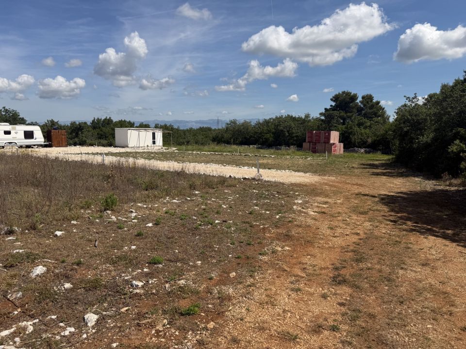 original_1780410351_img_3980.jpg