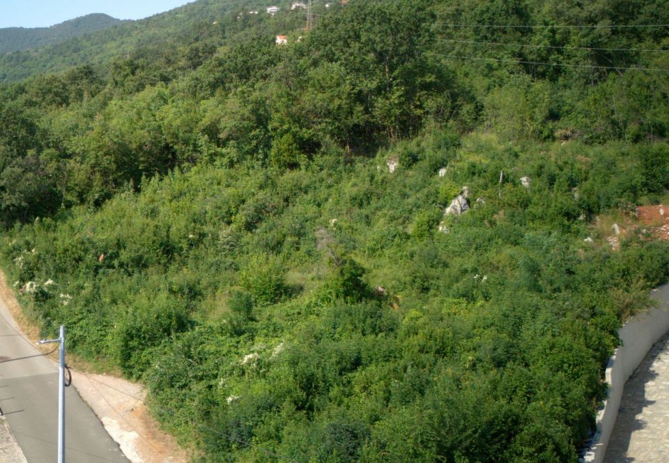 original_1782331801_dji_20260623092549_0075_d_cr.jpg
