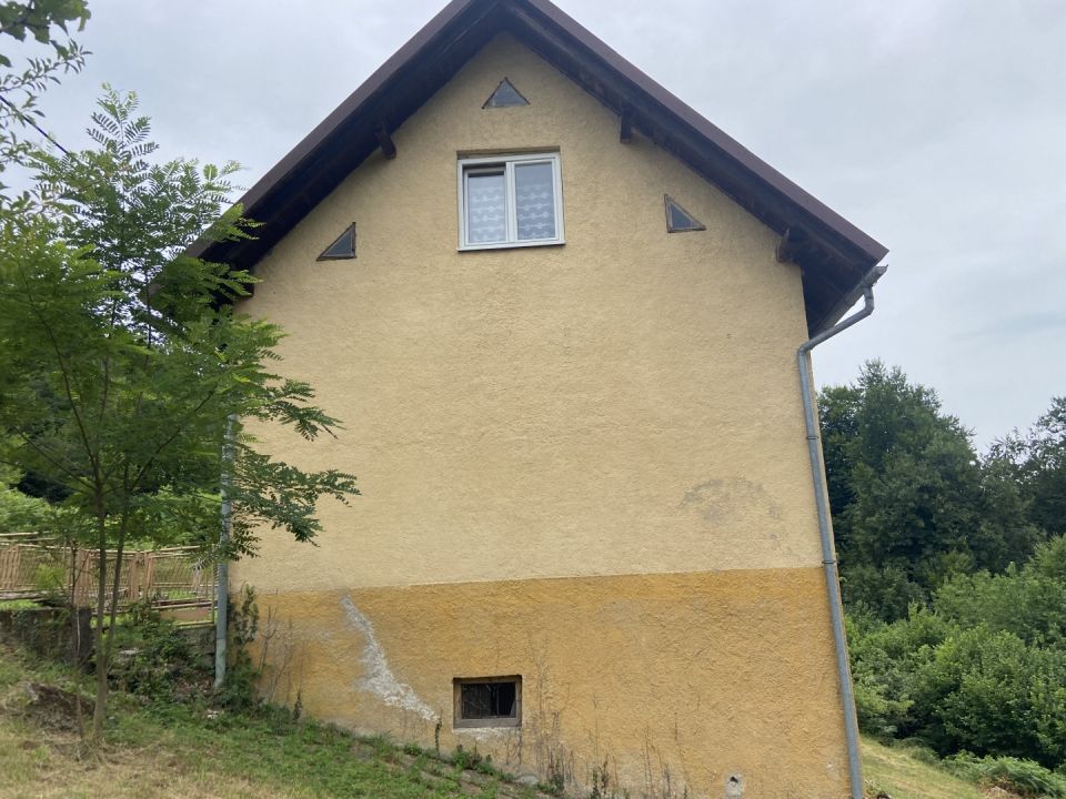 original_1783579622_img_4622.jpeg