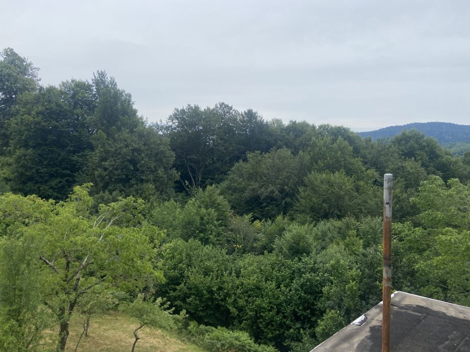 original_1783579693_img_4613.jpeg