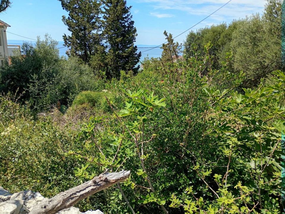 original_1782159776_img_20260617_140836221_hdr.jpg