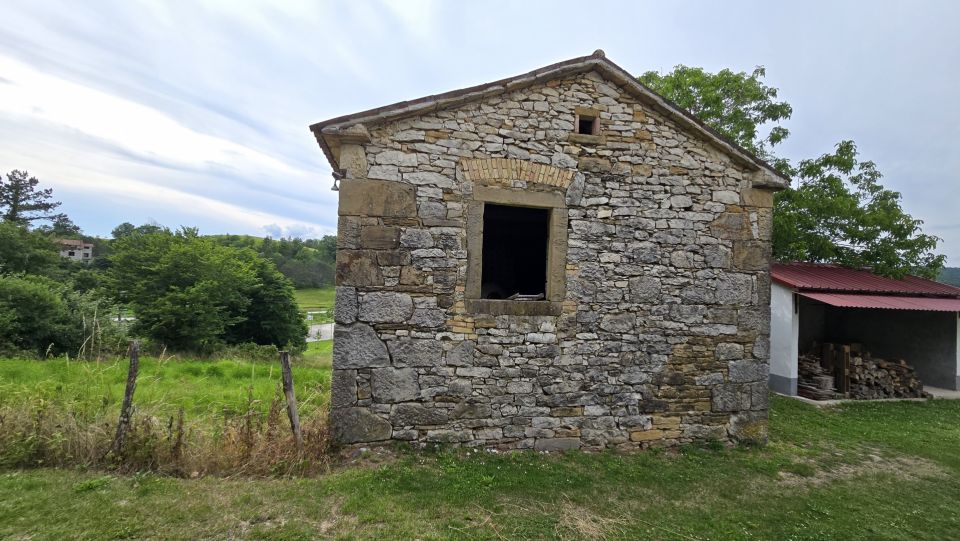 original_1781511367_1000221004.jpg