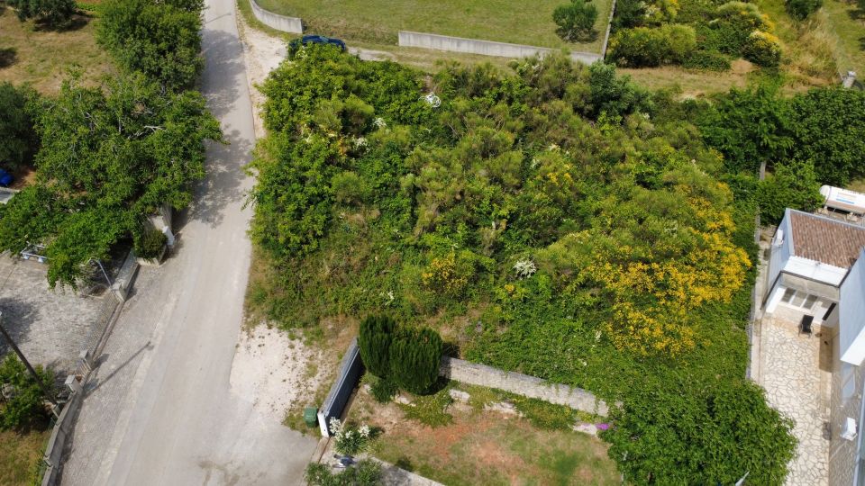 original_1781702462_dji_fly_20260617_150344_456_1781701501362_photo_optimized.jpg