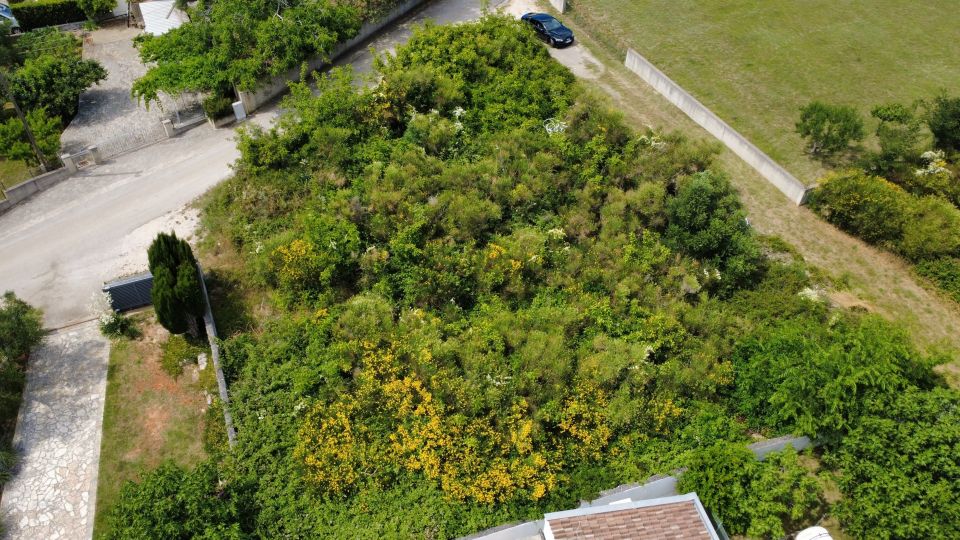 original_1781702474_dji_fly_20260617_150358_457_1781701508733_photo_optimized.jpg