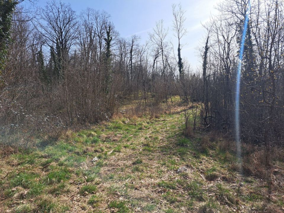 original_1711297982_20240305_122729.jpg