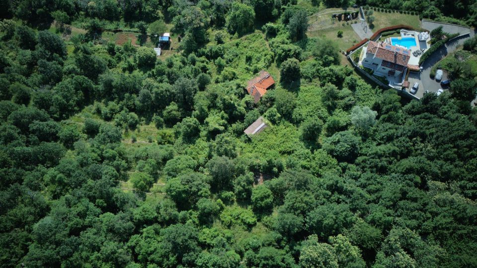 original_1782335722_dji_20260623085900_0040_d.jpeg