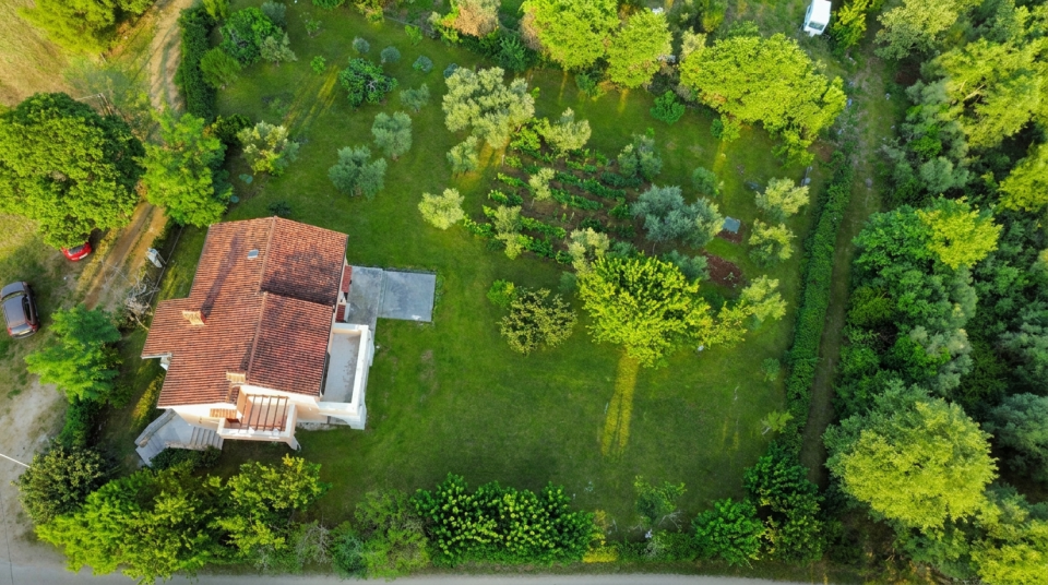 original_1785490466_bird-eye-garden.png