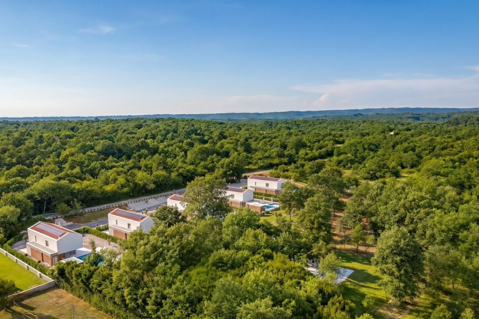 original_1782992076_dji_20260701113749_0265_d.jpg