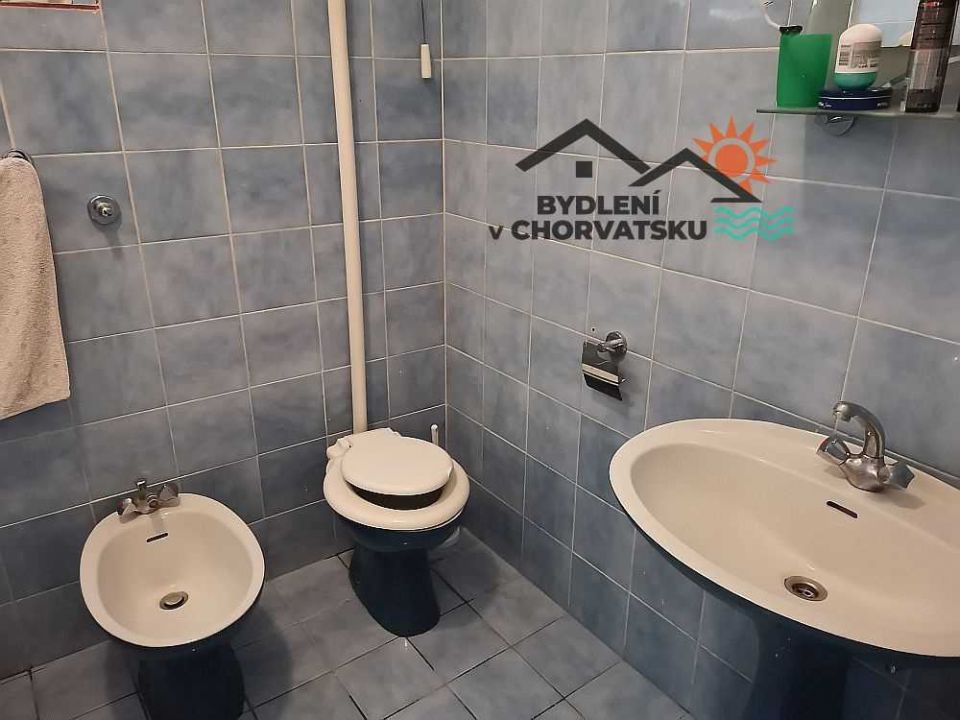111_cz64.jpg