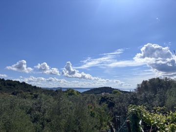 original_1714143211_img_5344.jpeg