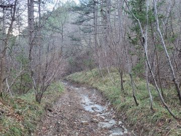 original_1740672945_20250220_161554.jpg
