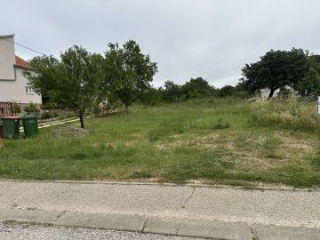 original_1747506459_img_0390.jpg