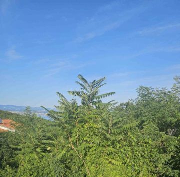 original_1752683089_11.jpg
